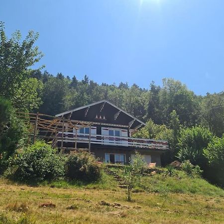 Le Chalet Des Amis Aurec-Sur-Loire Екстер'єр фото