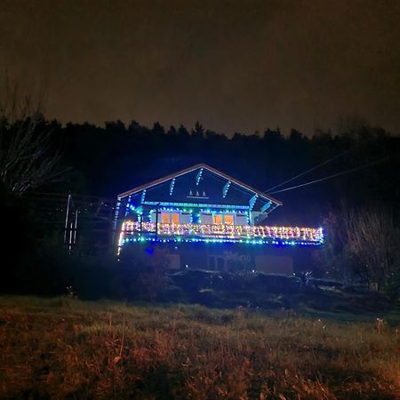 Le Chalet Des Amis Aurec-Sur-Loire Екстер'єр фото