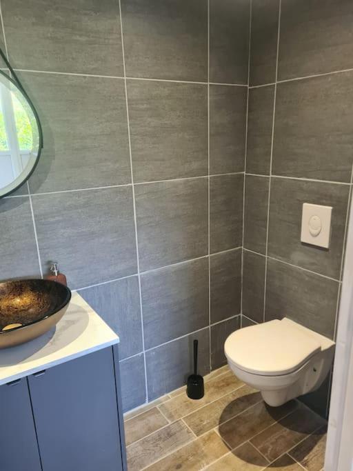 Le Chalet Des Amis Aurec-Sur-Loire Екстер'єр фото