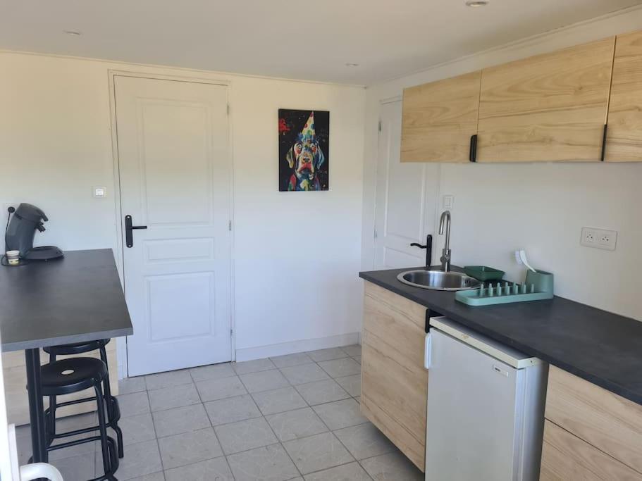 Le Chalet Des Amis Aurec-Sur-Loire Екстер'єр фото